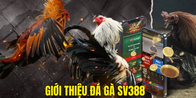 Giới thiệu sơ lược về SV388